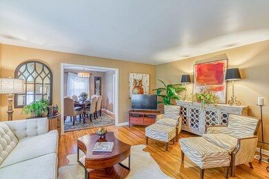 Great looking hardwood floors
