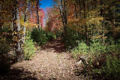 ROW Daniels Farm Rd, Waterford, VT 05819 - photo 3