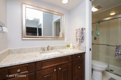 710 Waukegan Rd unit 2B, Glenview, IL 60025 - photo 7