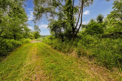 Three Oaks-106