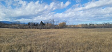 NHN Mt-78, Red Lodge, MT 59068 - photo 7