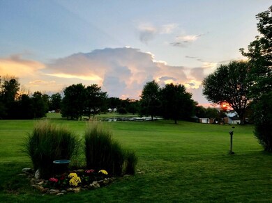 backyard sunset