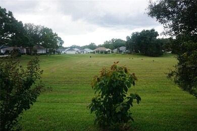 View to backyard