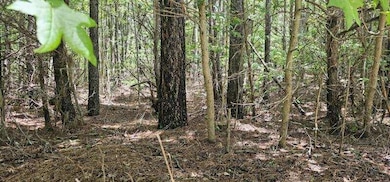 image000009