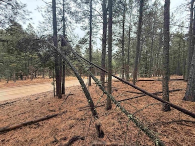 Lot 53 Valle Grande Trail, Angel Fire, NM 87710 - photo 3