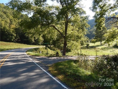 00 Gentry Farm Rd, Spring Creek, NC 28743 - photo 6