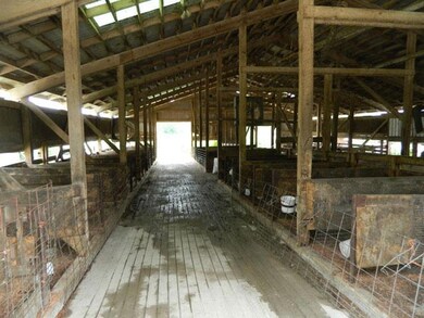 3411 Verona Caney Rd, Lewisburg, TN 37091 - photo 7