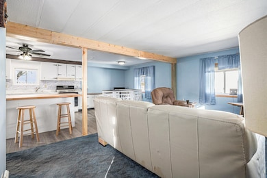 69617 Eisenhower Rd, Sturgis, MI 49091 - photo 4