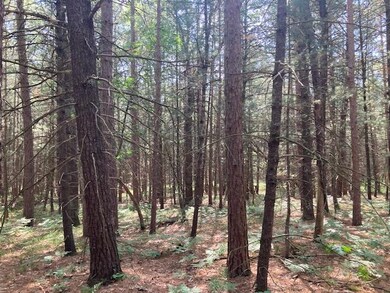 4825 W 8th St, Baldwin, MI 49304 - photo 6