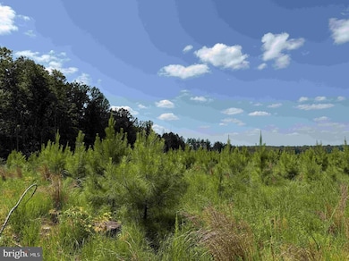 0 Bremo Road (Tract: Jr Barnes Dillion), Bremo Bluff, VA 23022 - photo 6