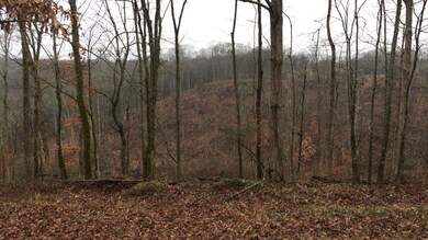 827 Petty Hollow Rd, Prospect, TN 38477 - photo 7