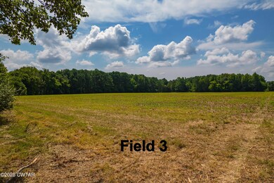 0 Wild Valley Drive & Watson Rd, Jackson, TN 38305 - photo 5