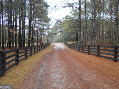 +/- 14 ACRES Youth Jersey Rd, Covington, GA 30014 - photo 7