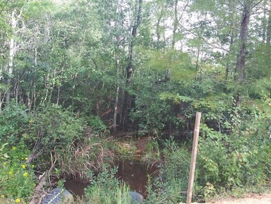 300 Nancy Ln, Ailey, GA 30401 - photo 6