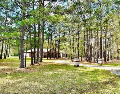 31127 Edgewater Dr, Magnolia, TX 77354 - photo 2