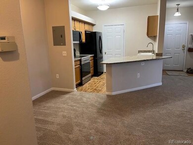 6005 Castlegate Dr W unit B27, Castle Rock, CO 80108 - photo 4