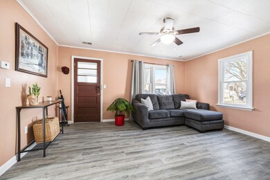 319 Alpine St, Wayland, MI 49348 - photo 6