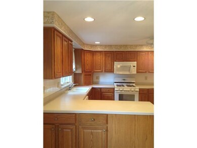 Kitchen. Gorgeous Fully Applianced New Kitchen Wit