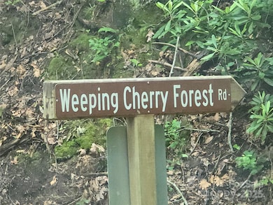 89 Weeping Cherry Forest Rd, Fairview, NC 28730 - photo 3