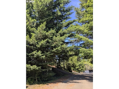 0 NE Rebel Rd, Waldport, OR 97394 - photo 2