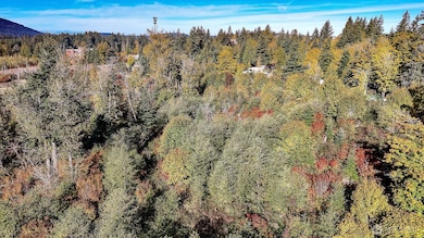 34700 SE 99th St, Snoqualmie, WA 98065 - photo 5