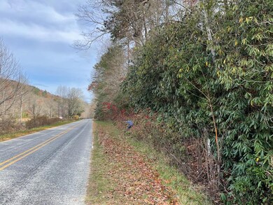 0 Mountain Laurel Rd, Robbinsville (Graham), NC 28771 - photo 6