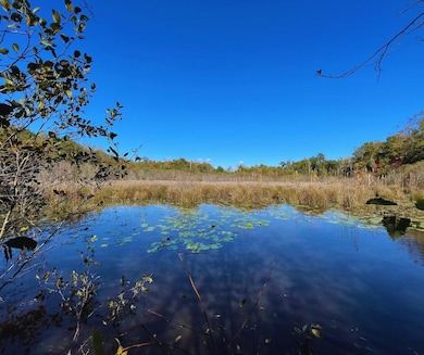 0 Highway 8, Aberdeen, MS 39730 - photo 3