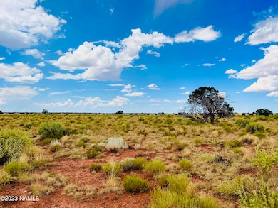 626 N Laguna Dr unit Lot 2, Valle, AZ 86046 - photo 2