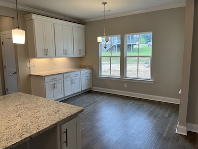 7332 Dutch River Cir, Fairview, TN 37062 - photo 2