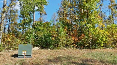 20151016_141106_Richtone(HDR) (800x450)