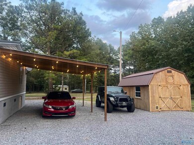 4973 Lakeplace Ln, Cedar Bluff, AL 35959 - photo 5