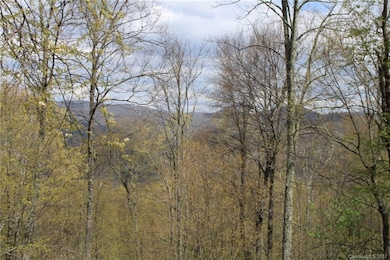 0000 Big Spring Trail unit 69, Qualla, NC 28719 - photo 2