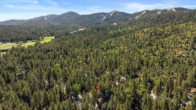 42639 Cedar Ave, Big Bear Lake, CA 92315 - photo 4