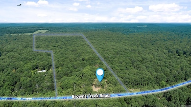 696 Browns Creek Rd, Ravenden, AR 72459 - photo 3