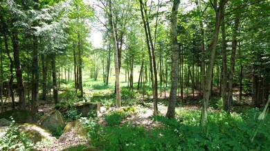 277 Bog Rd, New London, NH 03257 - photo 2