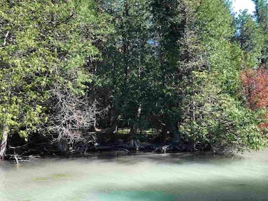 TBD Banwell Rd, Alanson, MI 49706 - photo 7