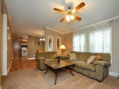 14 Red Rose Ln, Leicester, NC 28748 - photo 5