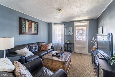 442 Franklin St, Alburtis, PA 18011 - photo 7