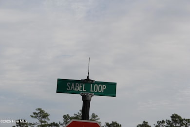 1193 Sabel Loop SE, Lockwoods Folly, NC 28422 - photo 2