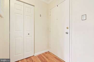 5804 Village Green Dr unit E, Alexandria, VA 22309 - photo 5