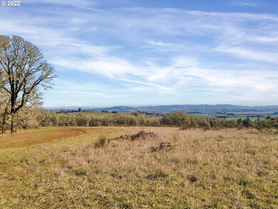 17000 SW Sunnyridge Ln, Sheridan, OR 97378 - photo 5