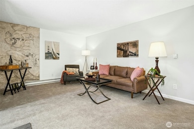 Living room is bright and light filled.