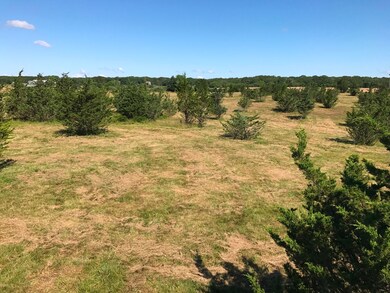 134 Sarita Walker Rd, West Tisbury, MA 02568 - photo 6