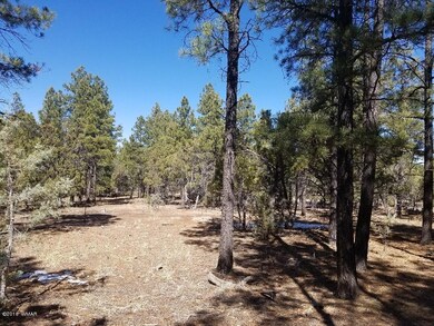 1301 S Jimson Loop