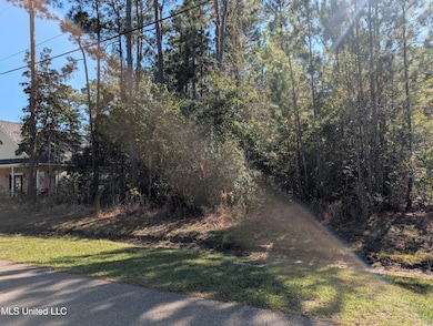 7311 Ieke Cir, Diamondhead, MS 39525 - photo 4