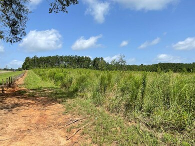 76.68 ac Fm 343, Nacogdoches, TX 75964 - photo 3
