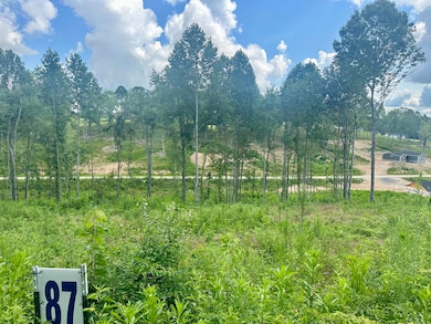 87 Rodeo Dr, Corbin, KY 40701 - photo 3