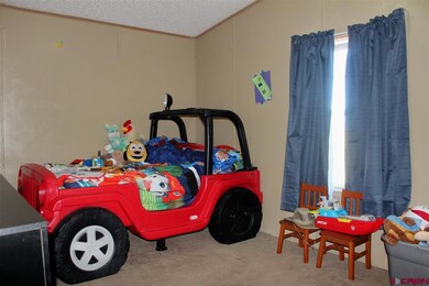 S County Road 4, Alamosa, CO 81101 - photo 7