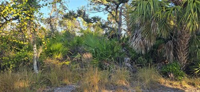 0 Lemon Ave unit MFRD6144885, Englewood, FL 34223 - photo 3