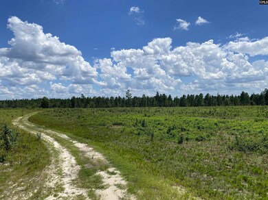 00 Bub Shumpert Rd, Pelion, SC 29123 - photo 6